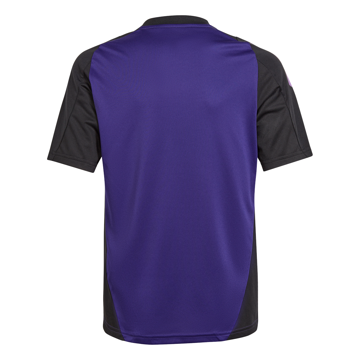 Maillot d'entrainement Allemagne Junior 2024 - Violet/Noir