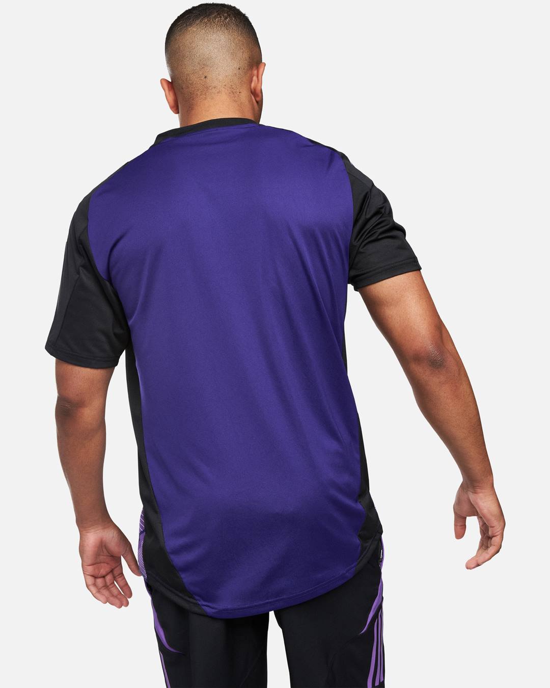 Germany 2024 training jersey - Purple/Black