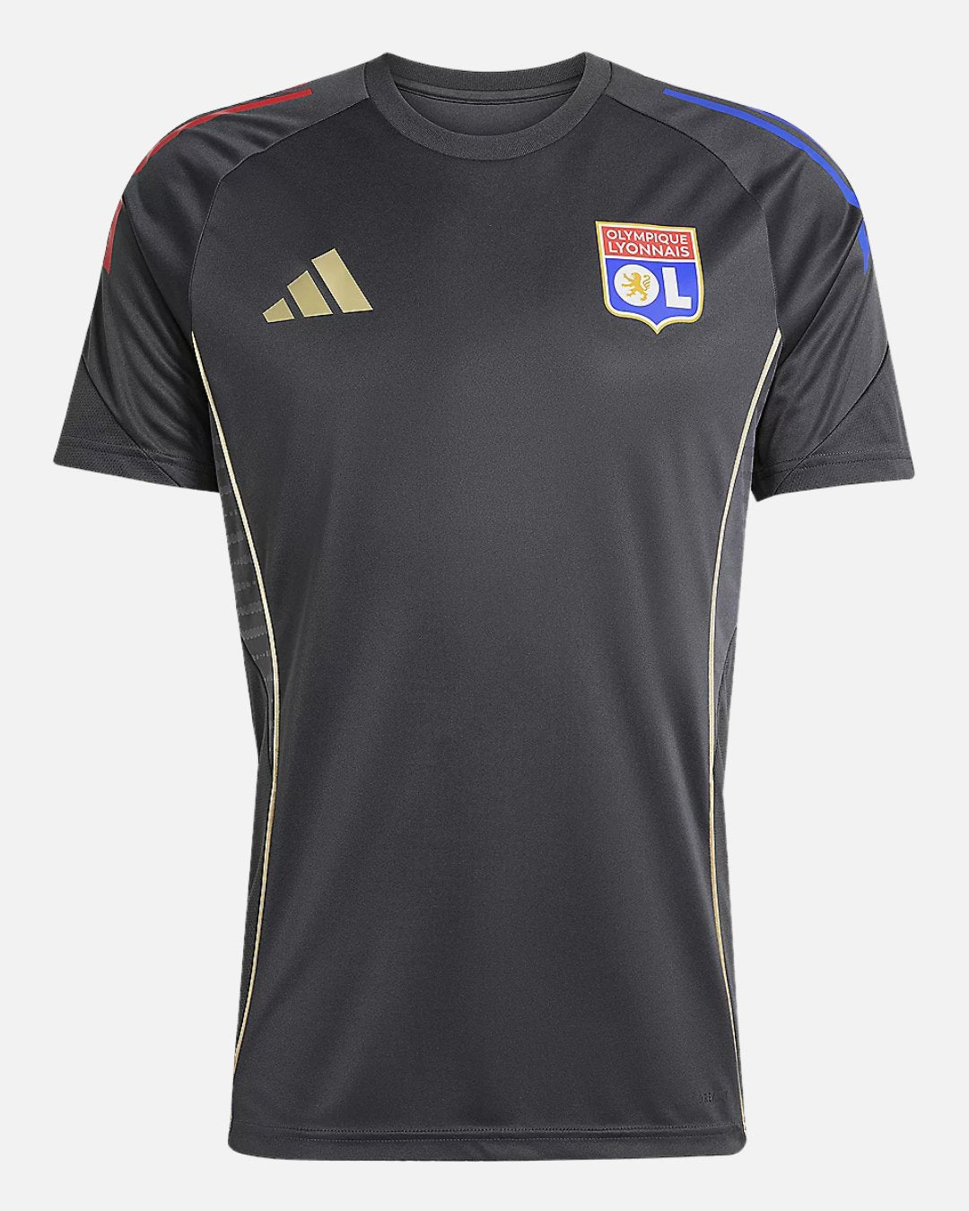 Maillot d'entraînement Olympique Lyonnais 2025/2026 - Gris