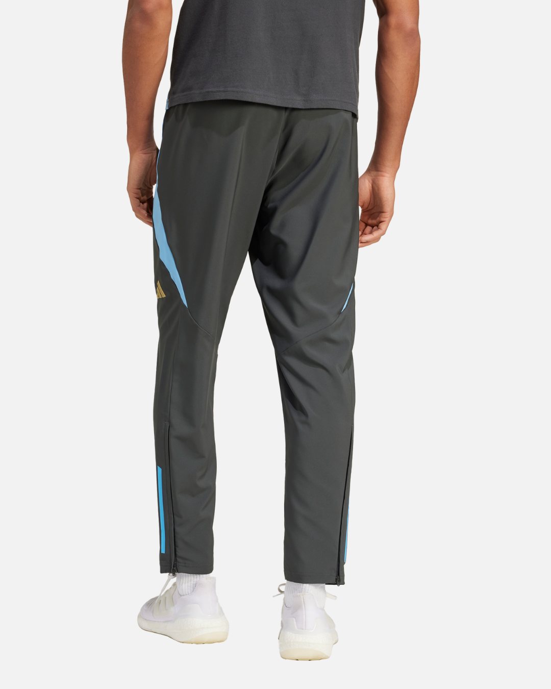 Pantalon de survêtement Argentine 2024 - Gris/Bleu