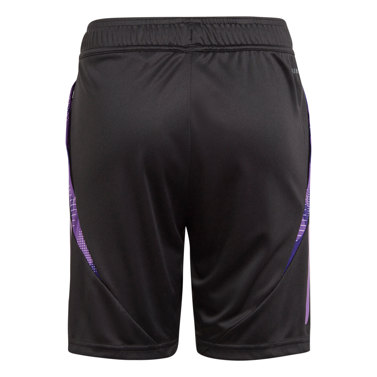 Short d'entrainement Allemagne Junior 2024 - Noir/Violet