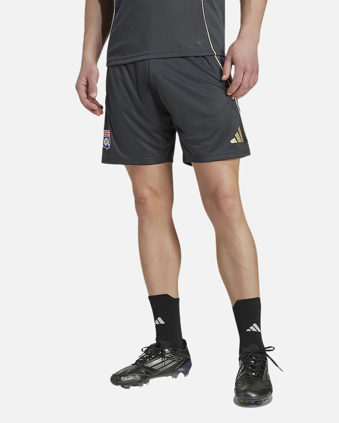OL 2025/2026 training shorts - Gray