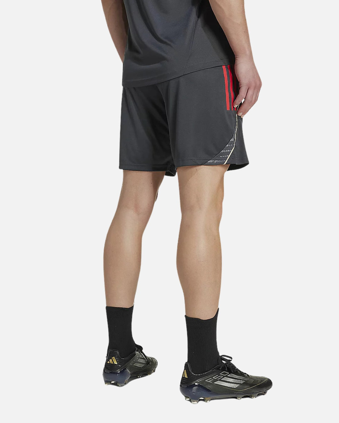 OL 2025/2026 training shorts - Gray