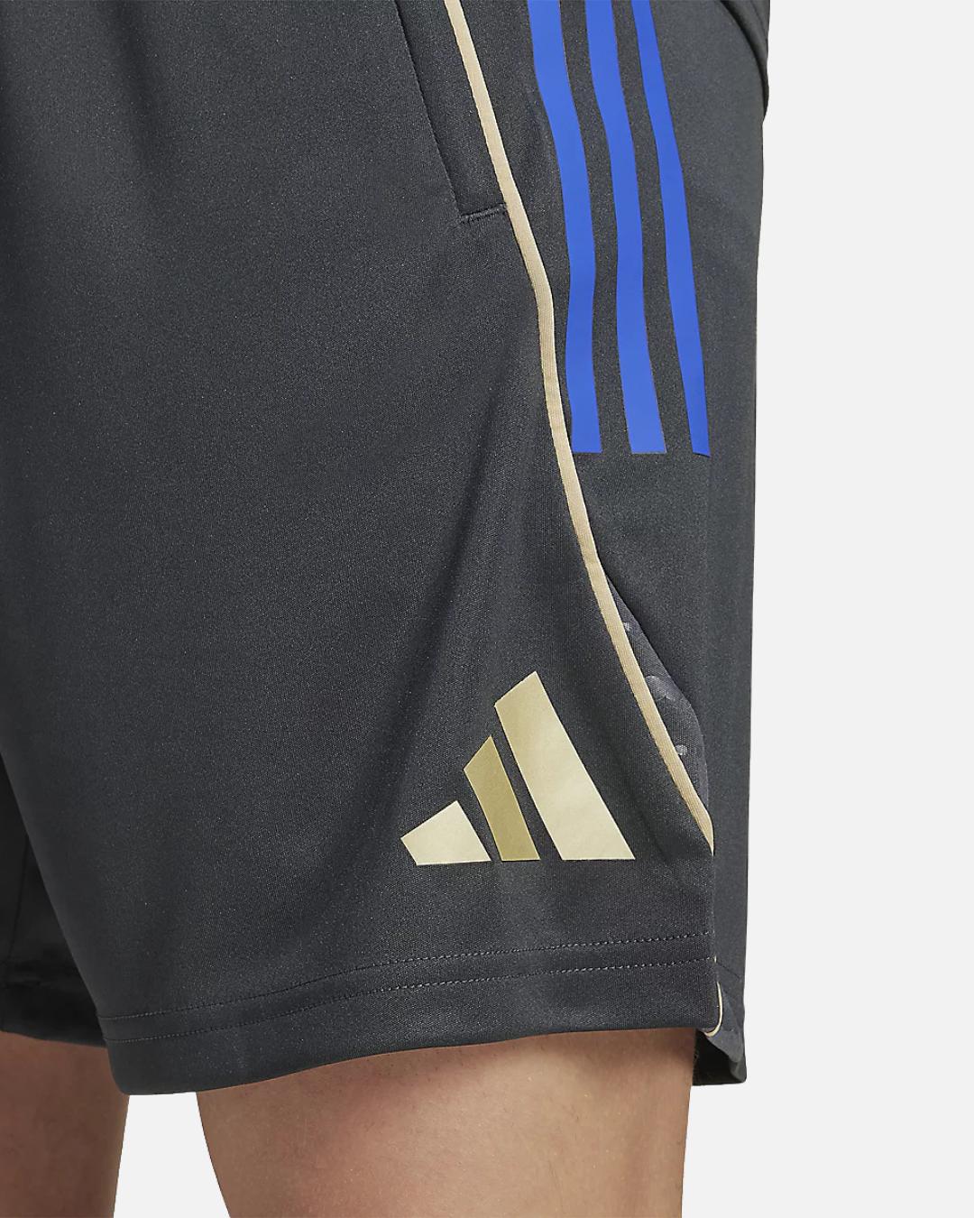 OL 2025/2026 training shorts - Gray