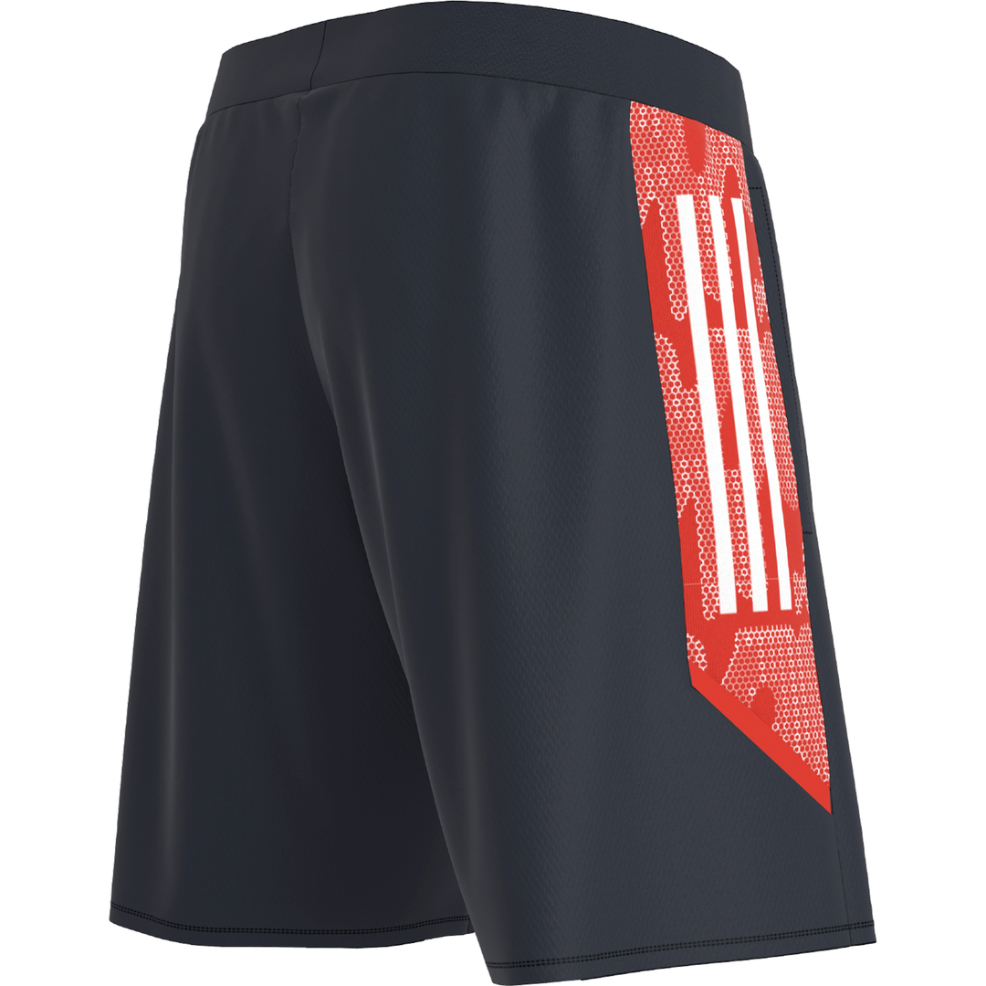 Pantalón corto de entrenamiento Bayern Múnich 2021/2022 - Azul/Rojo