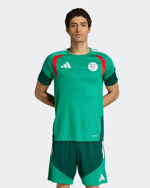 Camiseta de Entrenamiento Argelia 2026 - Verde - Footkorner