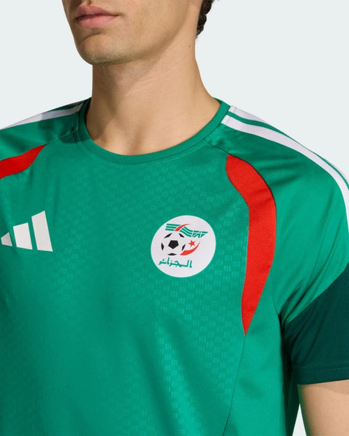 Camiseta de Entrenamiento Argelia 2026 - Verde - Footkorner