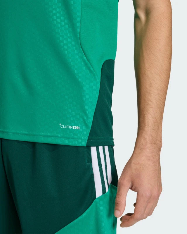 FootkornerCamiseta de Entrenamiento Argelia 2026 - Verde