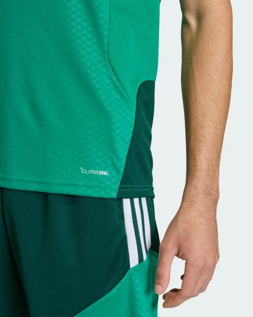 Camiseta de Entrenamiento Argelia 2026 - Verde - Footkorner