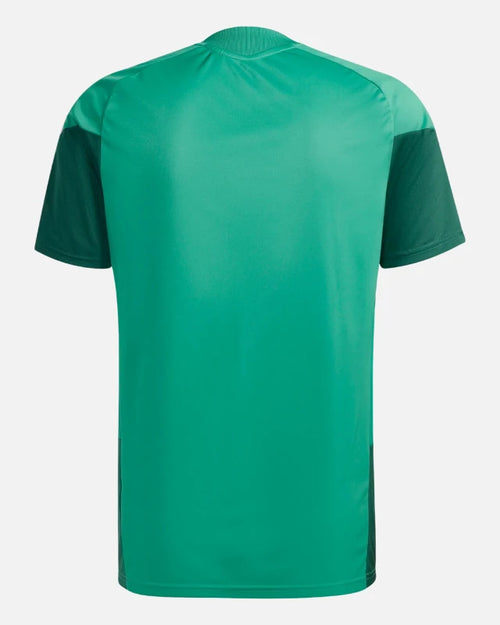 Camiseta de Entrenamiento Argelia 2026 - Verde - Footkorner