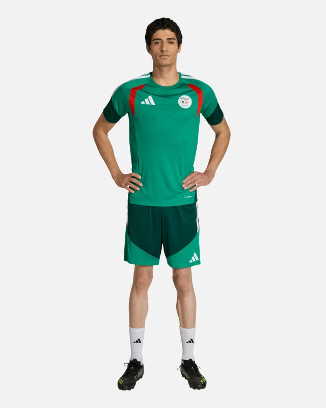 FootkornerCamiseta de Entrenamiento Argelia 2026 - Verde