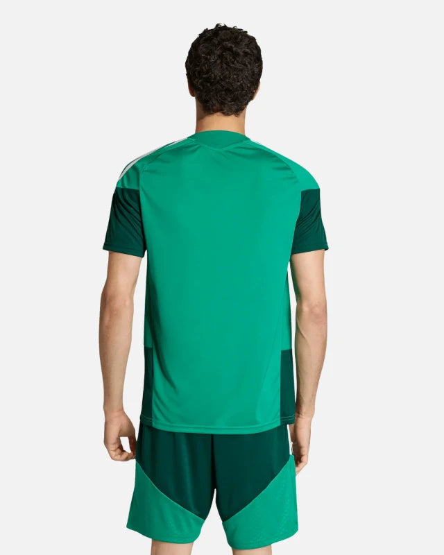 FootkornerCamiseta de Entrenamiento Argelia 2026 - Verde