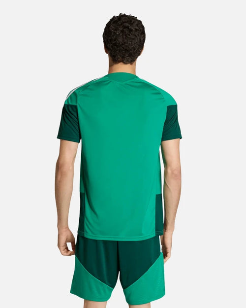 Camiseta de Entrenamiento Argelia 2026 - Verde - Footkorner
