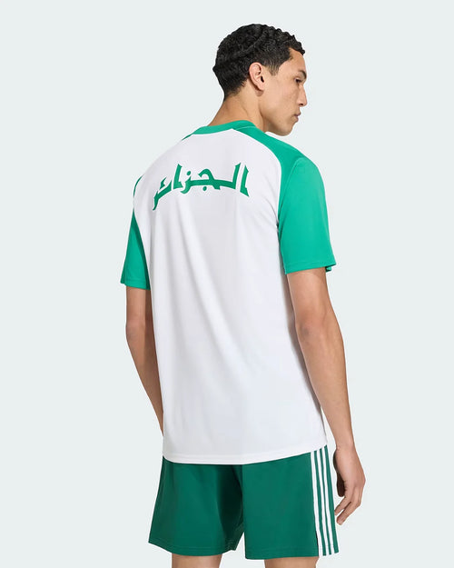 Camiseta de entrenamiento Argelia Copa del Mundo 2026 - Blanco/Verde - Footkorner