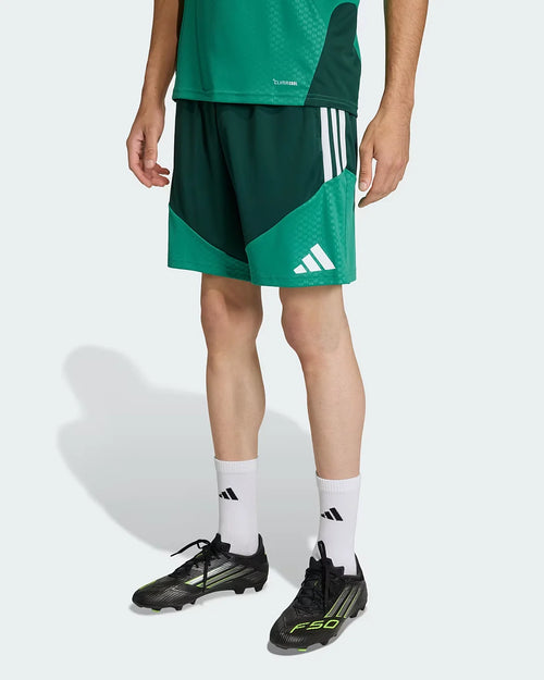 Short de entrenamiento Argelia Copa del Mundo 2026 - Verde - Footkorner