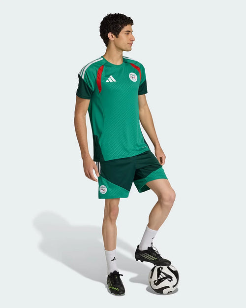 Short de entrenamiento Argelia Copa del Mundo 2026 - Verde - Footkorner