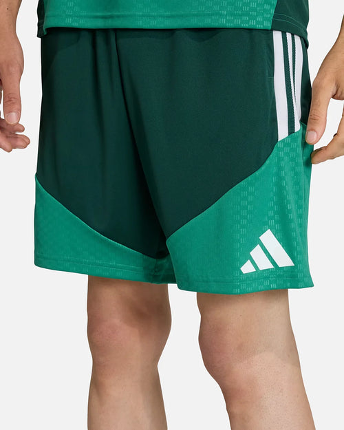 Short de entrenamiento Argelia Copa del Mundo 2026 - Verde - Footkorner