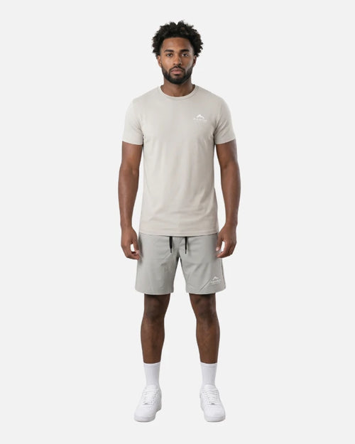T-Shirt Helvetica Toronto 12 - Grigio - Footkorner