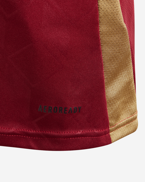 Maillot Domicile Belgique Junior 2024 - Bordeaux/Noir - Footkorner
