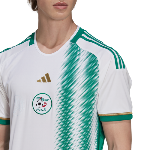 Maillot Algérie Domicile 2022 - Blanc/Vert - Footkorner