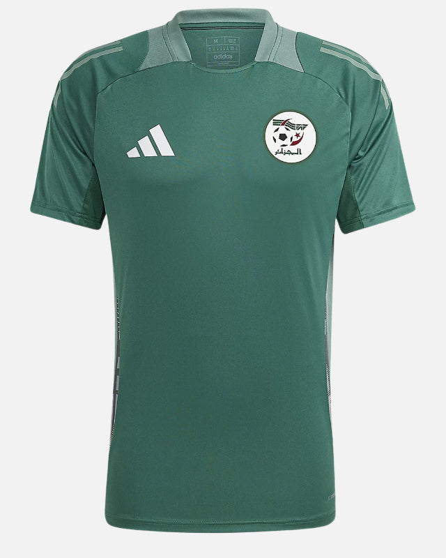 FootkornerAlgeria 2024 training jersey - Green