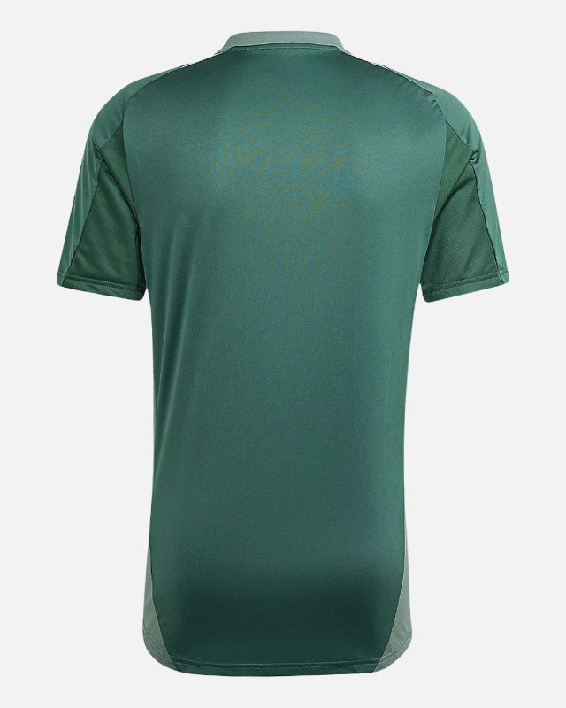 FootkornerAlgeria 2024 training jersey - Green