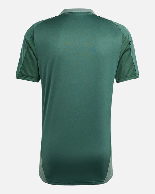 Algeria 2024 training jersey - Green - Footkorner