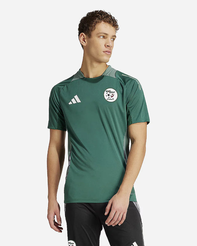 FootkornerAlgeria 2024 training jersey - Green