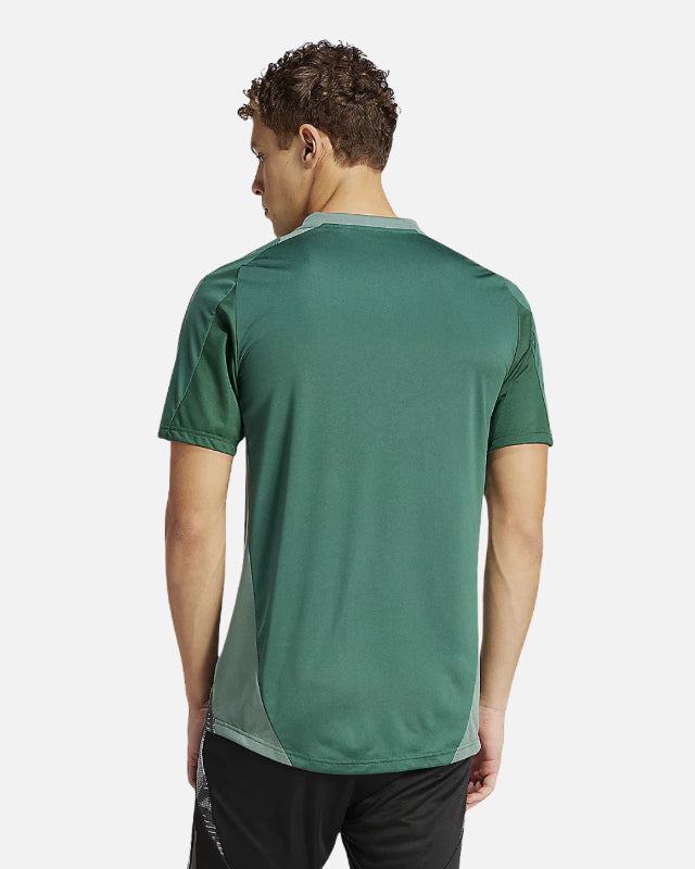 FootkornerAlgeria 2024 training jersey - Green