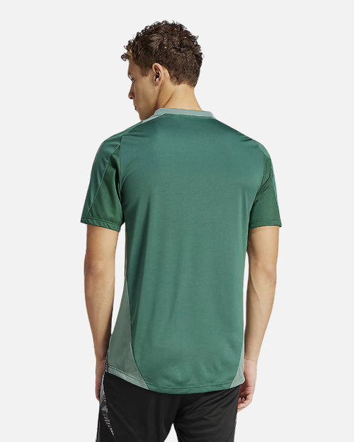 Algeria 2024 training jersey - Green - Footkorner