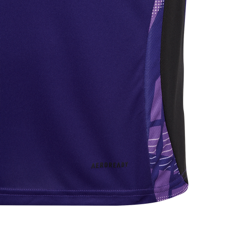 Maillot d'entrainement Allemagne Junior 2024 - Violet/Noir - Footkorner