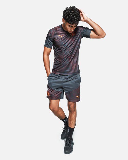 Manchester City Trainingstrikot 2023/2024 – Grau - Footkorner