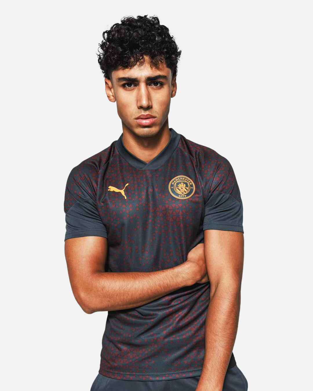 Manchester City training jersey 2023/2024 - Gray