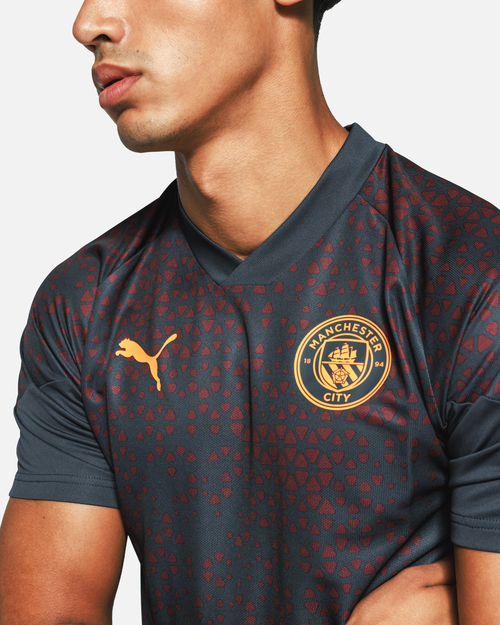 Manchester City Trainingstrikot 2023/2024 – Grau - Footkorner