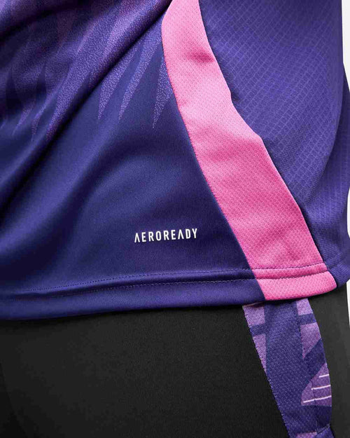 Germany 2024 Away Shirt - Pink/Purple - Footkorner