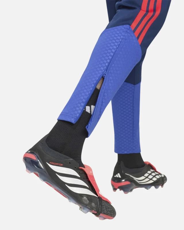 FootkornerTrainingshose Olympique Lyonnais 2026/2027 - Blau