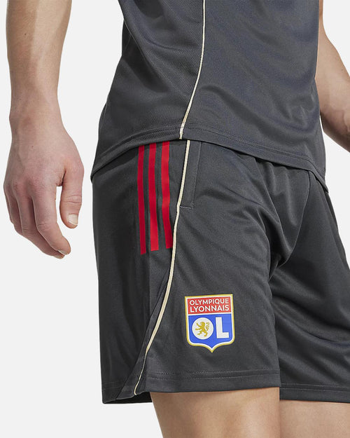 OL 2025/2026 training shorts - Gray - Footkorner