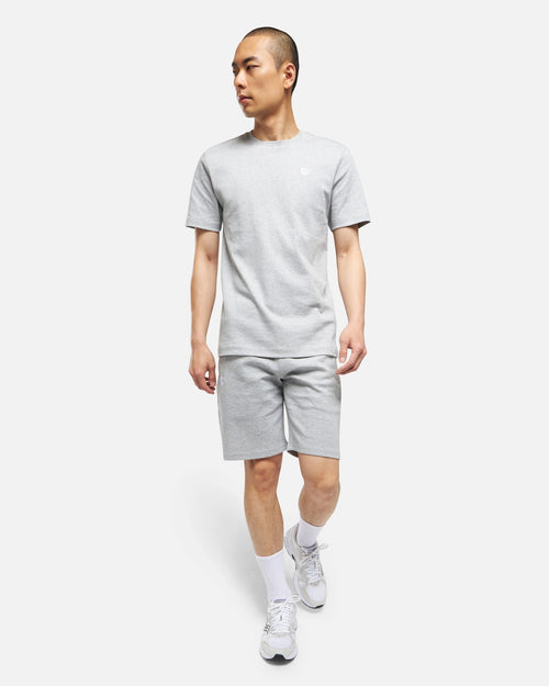 FK Basic II T-shirt - Grey - Footkorner