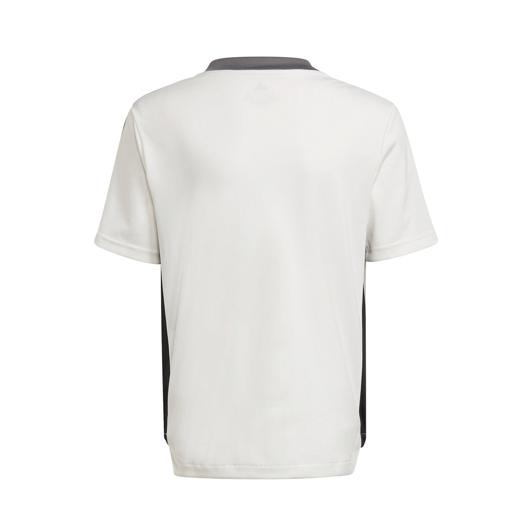 Juventus junior training shirt 2021/2022 - White/Grey