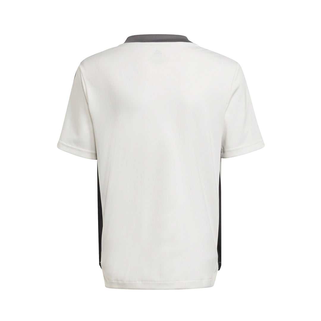 Camiseta de entreno Juventus júnior 2021/2022 - Blanco/Gris