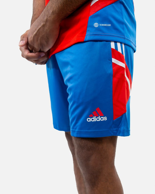 Pantaloncini da allenamento del Bayern Monaco - Rosso/Blu/Bianco - Footkorner