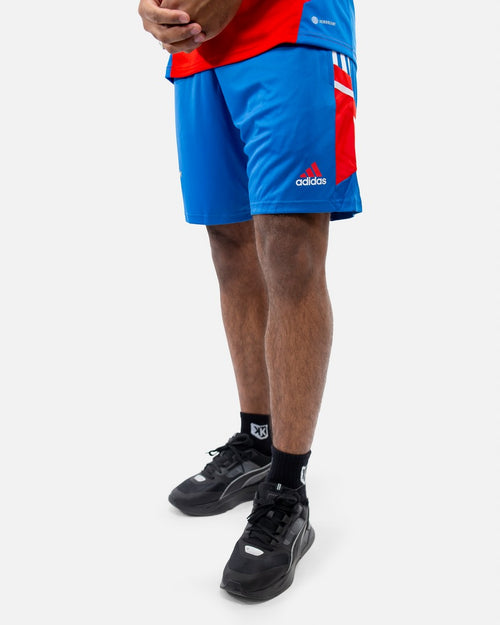 Pantaloncini da allenamento del Bayern Monaco - Rosso/Blu/Bianco - Footkorner
