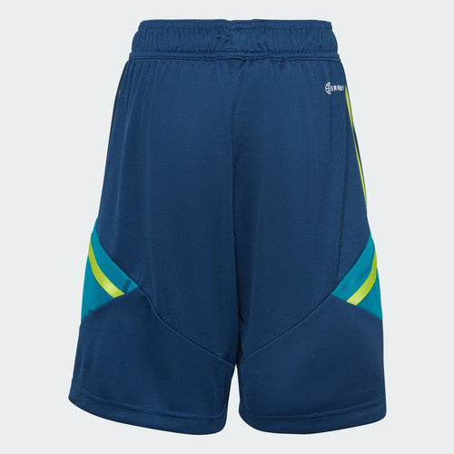 Pantalones cortos de entrenamiento Juventus Junior - Azul/Verde - Footkorner