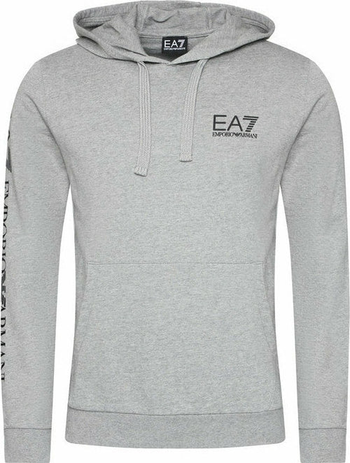 Sweat capuche Emporio Armani EA7 Train Logo - Gris - Footkorner