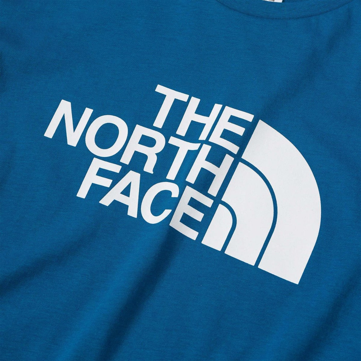 FootkornerCamiseta The North Face Easy - Azul/Blanco
